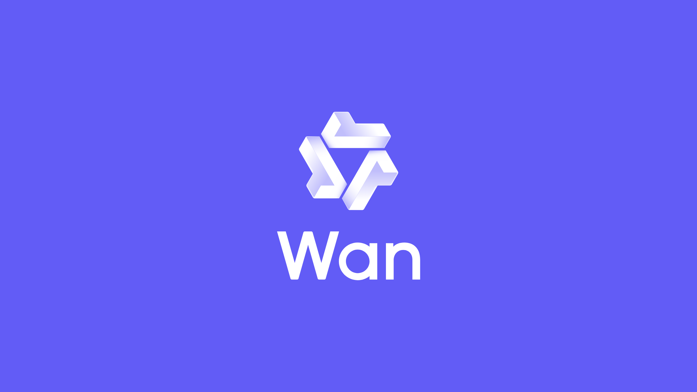 Wan model family
